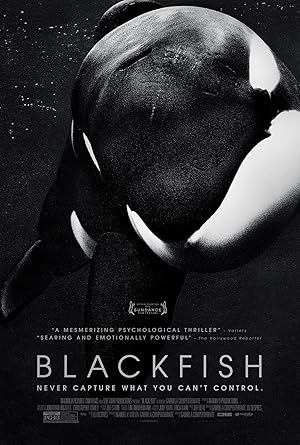 Blackfish poster